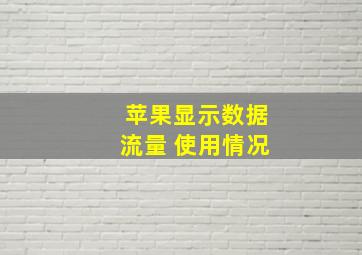 苹果显示数据流量 使用情况